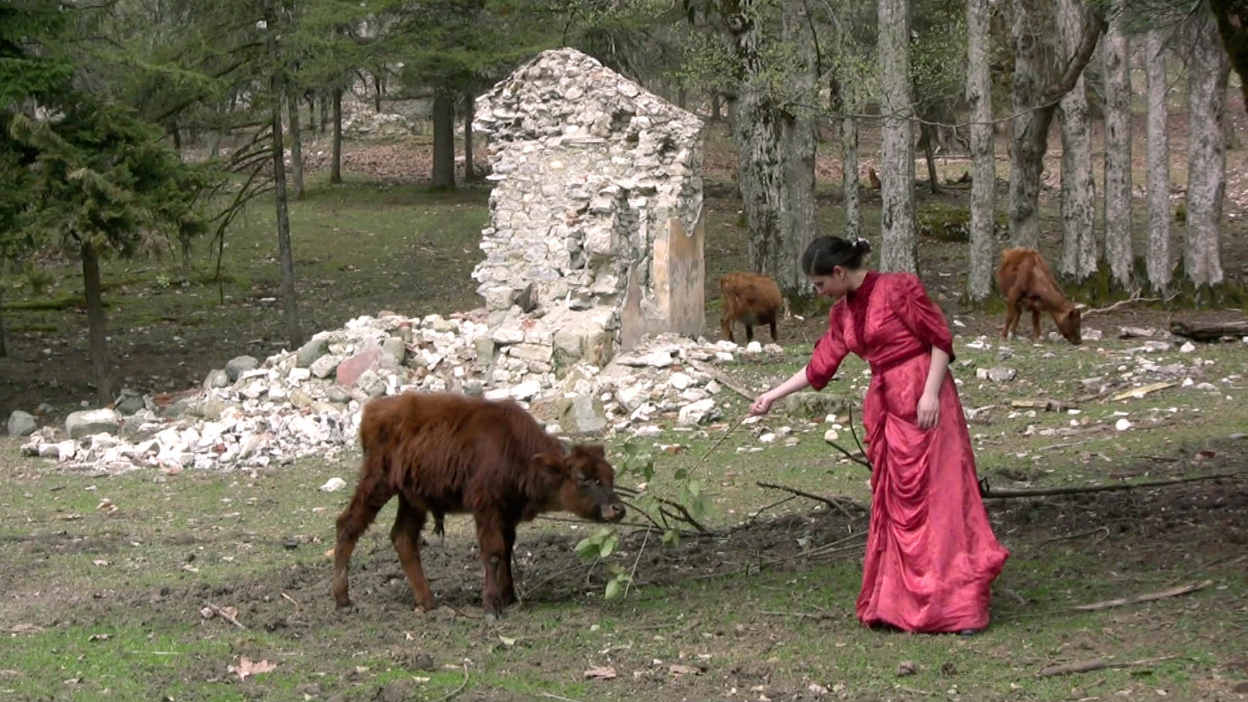 INSZENIERUNG UND MUSIK 2005–2012